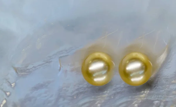 Zwei Weiße Perlen Perlmutt Offene Muschel Muschel Hintergrund Textur — Stockfoto