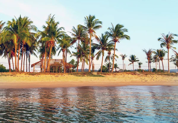 Cabane Bambou Sur Plage Cocotier Beau Fond Tropical Paysage Vacances — Photo