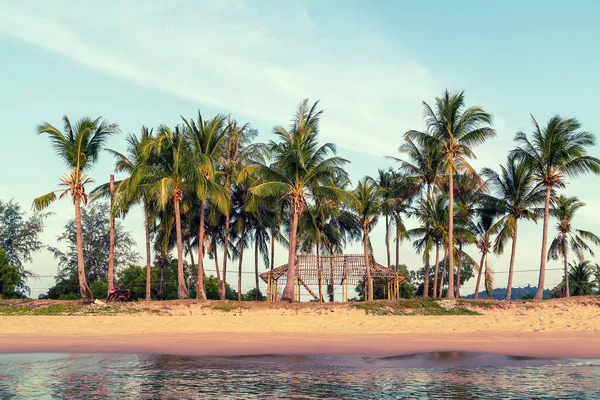 Cabaña Bambú Palmera Playa Isla Tropical Fondo Cielo Azul — Foto de Stock