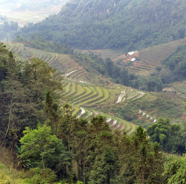 Niebla Siluetas Montaña Sobre Parque Nacional Hoang Lien Provincia Lao —  Fotos de Stock