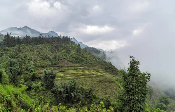 Pirinç Tarlası Vietnam Daki Eski Bir Köy — Stok fotoğraf