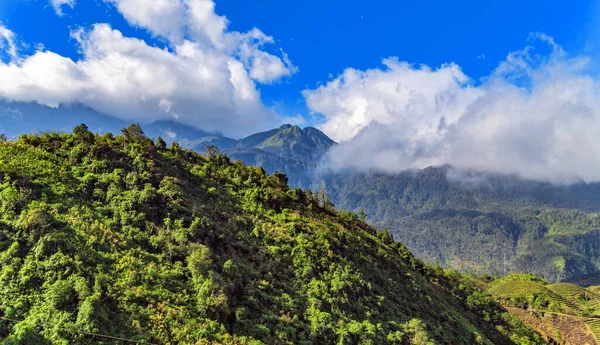 Mountain Indochina Landscape Terraces Green Grass Blue Sky Cloud Sapa — Stock Photo, Image