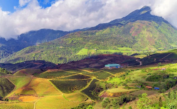 Dağ Tepeleri Vadisi Yaz Gezisi Sapa Vietnam — Stok fotoğraf