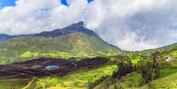 Dağ Tepeleri Vadisi Yaz Gezisi Sapa Vietnam — Stok fotoğraf