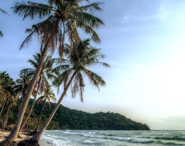Остров Солнечный Тропический Пляж Пальмы — стоковое фото