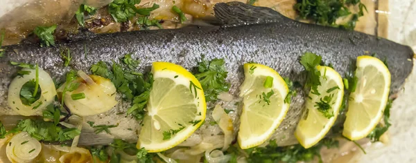 Trout Fishes Grill Food Bbq — Stock Photo, Image