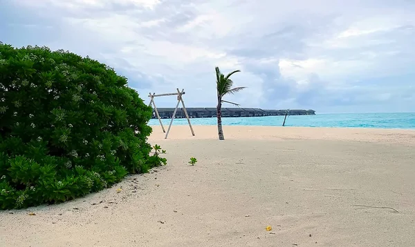 Maldives Atoll Île Jetée Bois Beau Paysage Plage Vue Sur — Photo