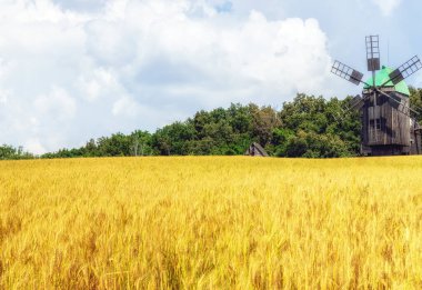 Buğday tarlası Eski ahşap değirmen, çiftlik evi yel değirmeni.