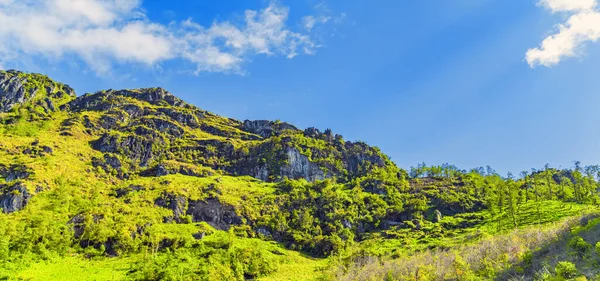 Landskap Terrasser Grönt Gräs Blå Himmel Moln Sapa Norra Vietnam — Stockfoto