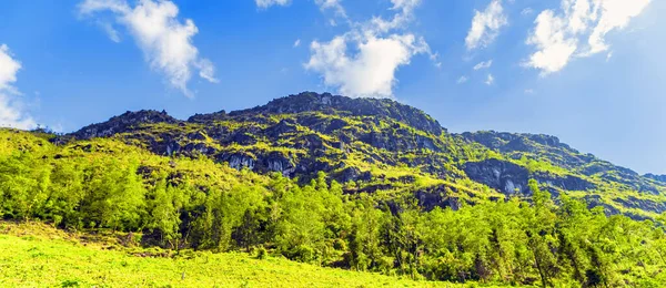 Krajina Terasy Zelená Tráva Modrá Obloha Mrak Sapa Severní Vietnam — Stock fotografie