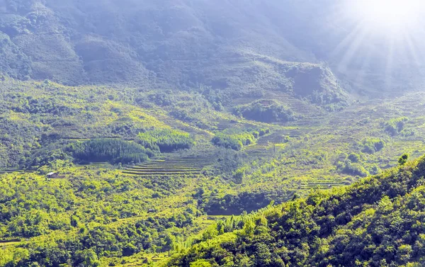 Tonkin Alpleri Sapa 'nın kırsal kesiminde yaz mevsimi panoramik manzarası
