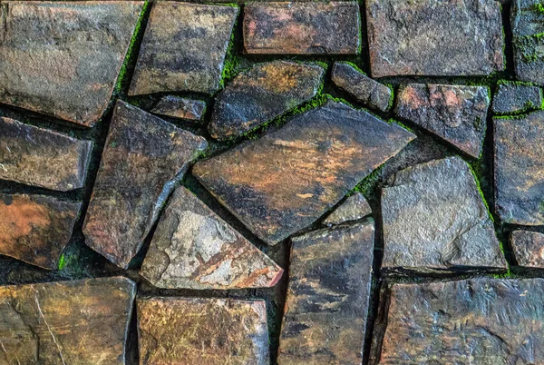 Mozaïek Tegel Stenen Vloer Stoep Nat Mos Achtergrond — Stockfoto