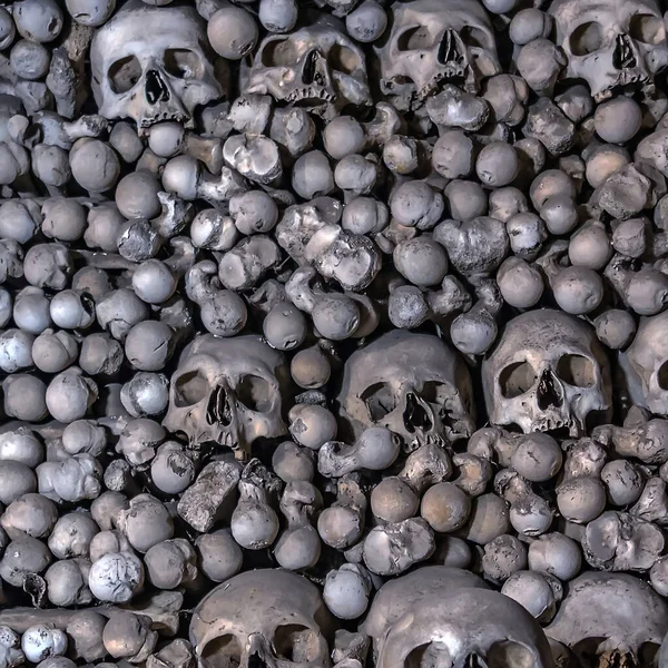 인간의 두개골 더미무서운 사각형 — 스톡 사진