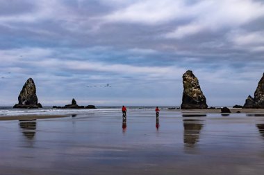 Top Beach, Oregon
