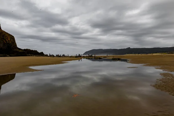 Top Beach, Oregon — Stok fotoğraf