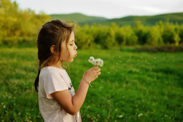 春の牧草地のタンポポを吹く少女 — ストック写真