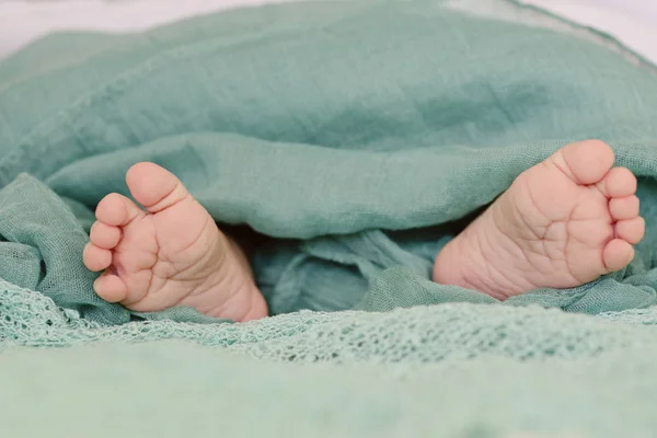 Soft Newborn Baby Feet Wrapped Blanket — Stock Photo, Image