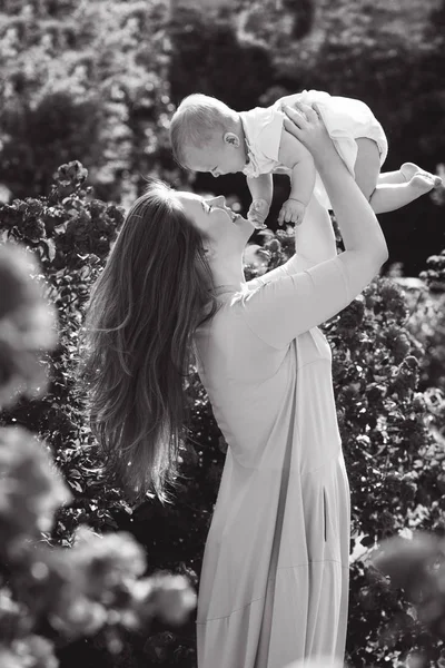 happy family in the blossom roses garden