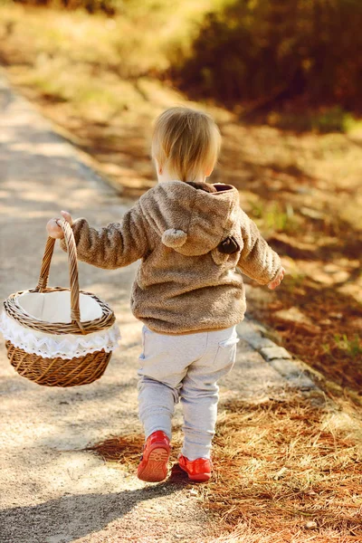 Barn Girl Walking Med Korg Falla Park — Stockfoto