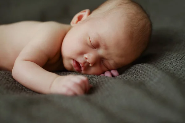 Bebê Recém Nascido Está Dormindo Barriga — Fotografia de Stock