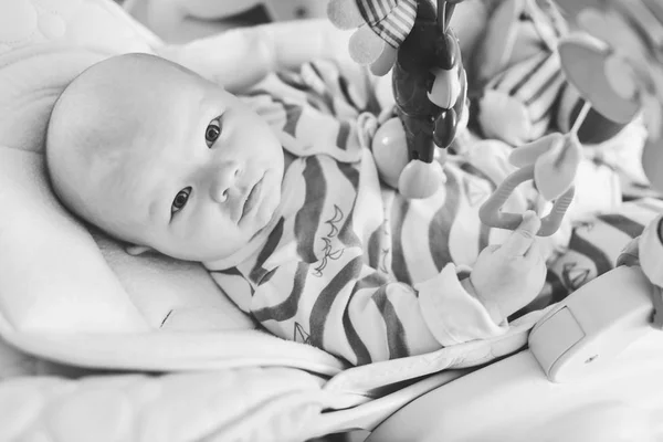 Bebê Deitado Cadeira Leão Chácara Jogando Brinquedo — Fotografia de Stock