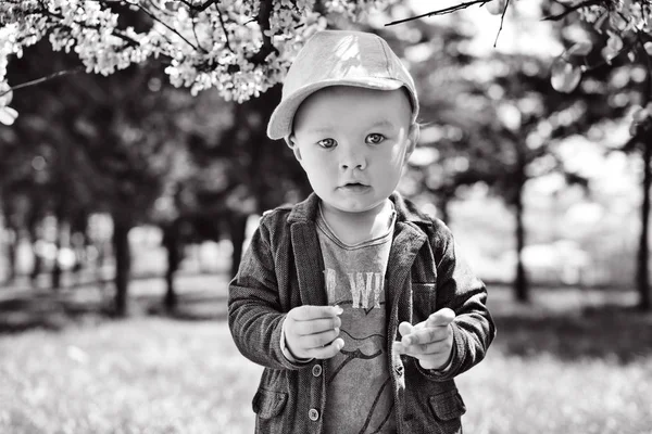 Trendy Toddler Boy Standing Blossin Garden — Stock Photo, Image