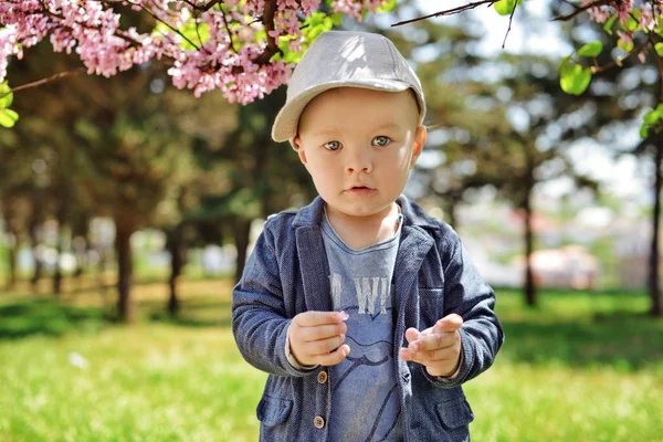 Trendy Toddler Boy Standing Blossin Garden — Stock Photo, Image