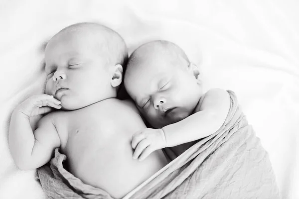 Sweet Dreams Twins Sot Focus — стоковое фото