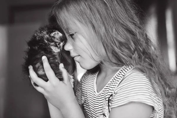 Happy Cute Little Girl Playing Kitten Home — Stock Photo, Image