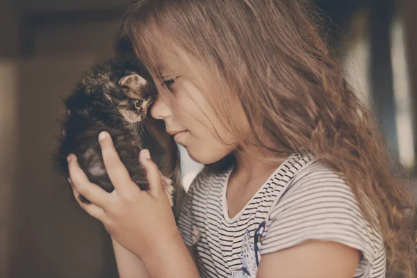 Happy Cute Little Girl Playing Kitten Home — Stock Photo, Image