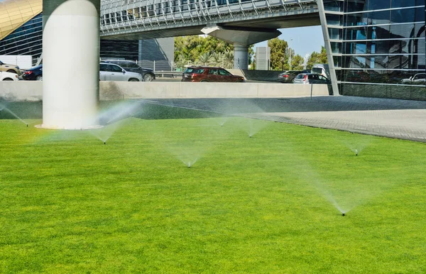 Automatische Rasenbewässerung Bewässerungssystem Der Straße Dubai Uae — Stockfoto