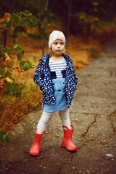 Schattig Klein Meisje Herfst Park — Stockfoto