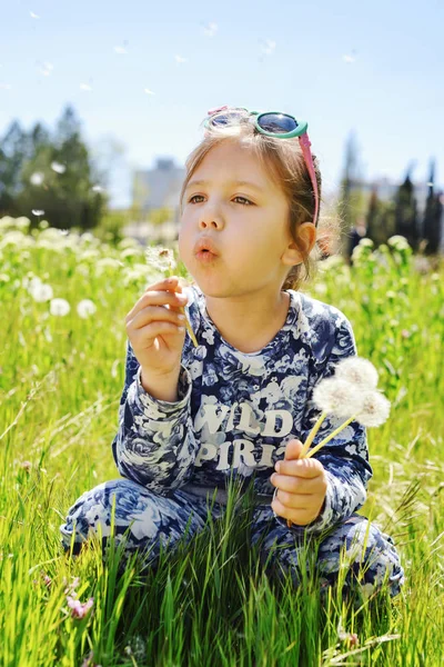 Ευτυχισμένο Παιδί Κορίτσι Φυσάει Πικραλίδα Λουλούδι Εξωτερικούς Χώρους — Φωτογραφία Αρχείου