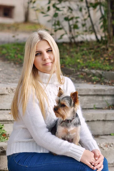 Menina Adolescente Com Pouco Cão Yorkshire Terrier Tempo Outono — Fotografia de Stock