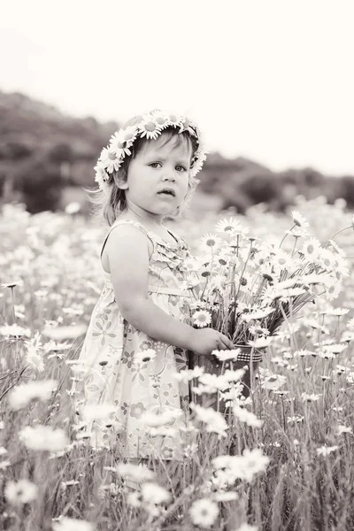 Toddler Dziewczynka Dziedzinie Stokrotki — Zdjęcie stockowe