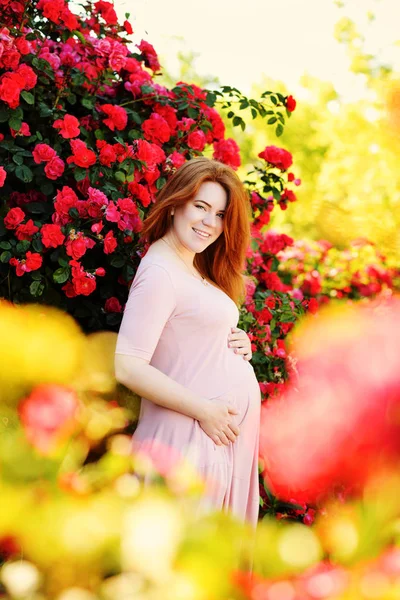 Rothaarige Schwangere Frau Der Nähe Des Rosenbusches — Stockfoto