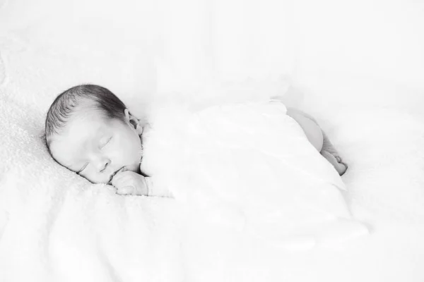 Sleeping Angelic Newborn Feather Wings — Stock Photo, Image