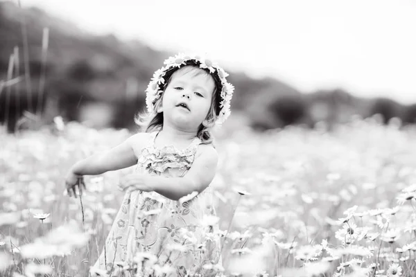 Divertida Niña Bailando Campo Margaritas — Foto de Stock