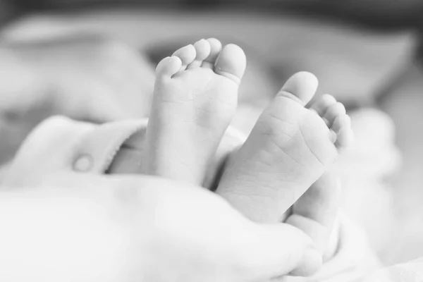 Feet of newborn — Stock Photo, Image