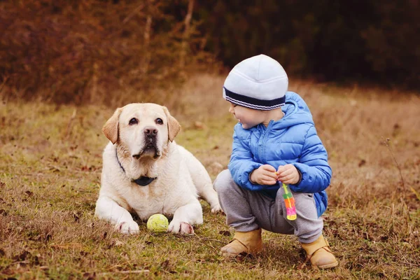 Junge mit Hund — Stockfoto