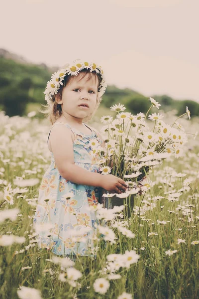 Toddler girl in a daisy field — Stock Photo, Image