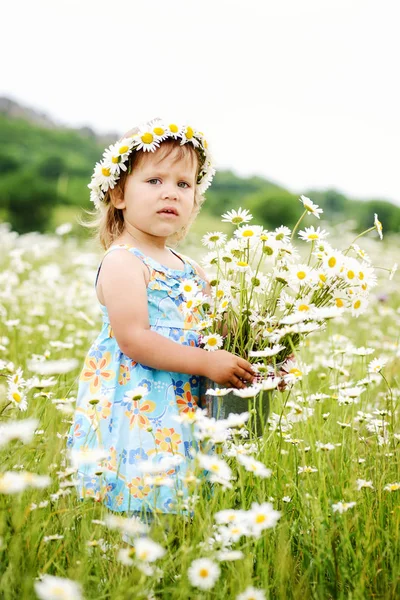 Småbarns flicka i ett Daisy-fält — Stockfoto