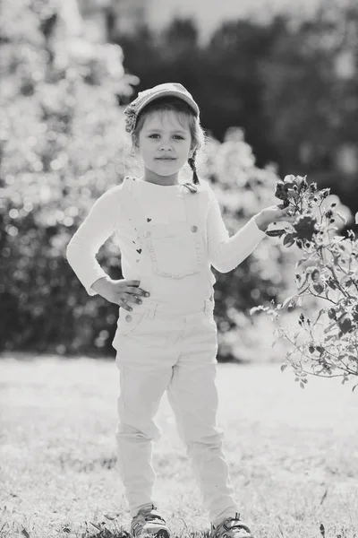 バラの茂みの近くの小さな女の子 — ストック写真