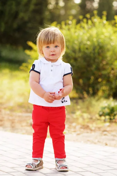 Fashion toddler girl — Stock Photo, Image