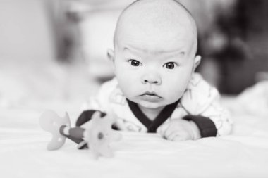 Bebek çıngırağı