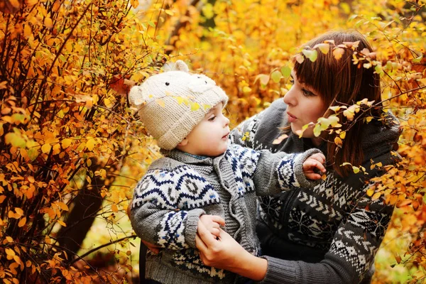 Nella foresta autunnale — Foto Stock