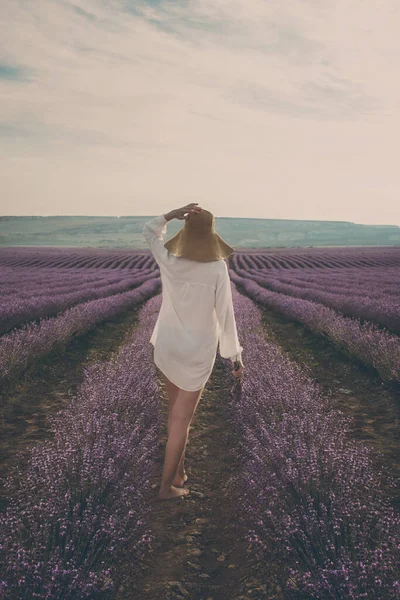 Blootsvoets Vrouw Wandelen Lavendelveld Ochtend — Stockfoto