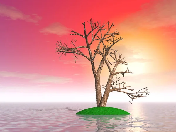 Ilustração Uma Árvore Misteriosa Uma Ilha Fantástica Fundo Pôr Sol — Fotografia de Stock