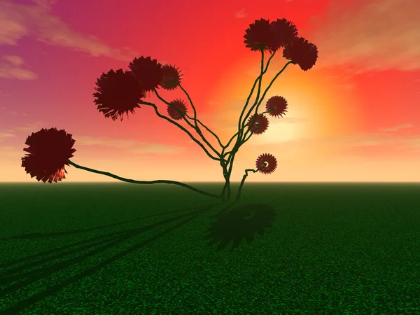 Illustration Mysterious Huge Flower Field Sunset — Stock Photo, Image