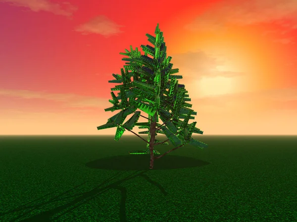 Ілюстрація Таємниче Дерево Загадковій Галявині Проти Заходу Сонця — стокове фото